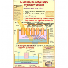 Aluminium Metallurgy-vcp
