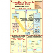 Preparation of Ammonia and Manufacture of Ammonia by Haber's Process-vcp