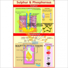 Sulphur & Phosphorus-vcp