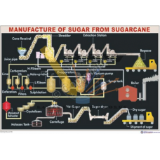Manufacture of Sugar from Sugarcane