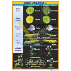 Mendelism-I {Covers the seven pairs of Contrasting Traits in pea plants studied by Mendel}