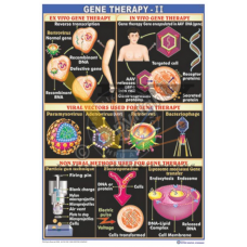 Gene Therapy (Exvio & Invio GeneTheraphy and Viral & Nonviral methods used for Gene Therapy}
