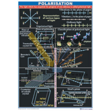Light- Polarisation