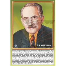 S.A Waksman